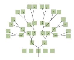 Arbol Geanealogico